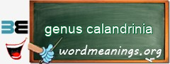 WordMeaning blackboard for genus calandrinia